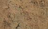 Sahara