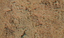 Sahara