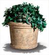 View: Milan Planter